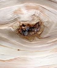 Lebenslinien - Copyright by eska|art (Sebastian Keitel)